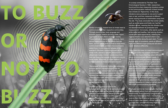 To Buzz Or Not To Buzz.jpg