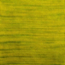 13.2.VERDE TIGLIO.jpeg