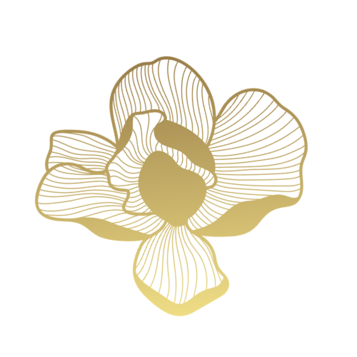 FlowerMagnolia2.png