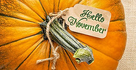 November 2025 Newsletter