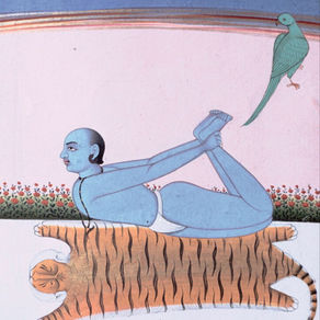 Les différents Yoga: Natha, Hatha, Kundalini, Bhakti, Jnana, Karma, Ashtanga, Vinyasa, Iyengar, etc.