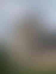 Église Ceyrac (XVe siècle)