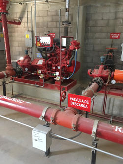 WhatsApp Image 2021-01-22 at 19.58.43 (1