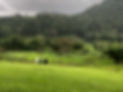 IMG_5025.jpeg