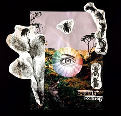 Beauty is in the eye of the beholder