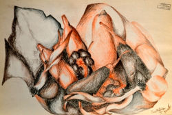 Desenho de Observação