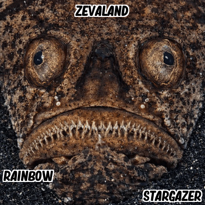 ZEVALAND.png