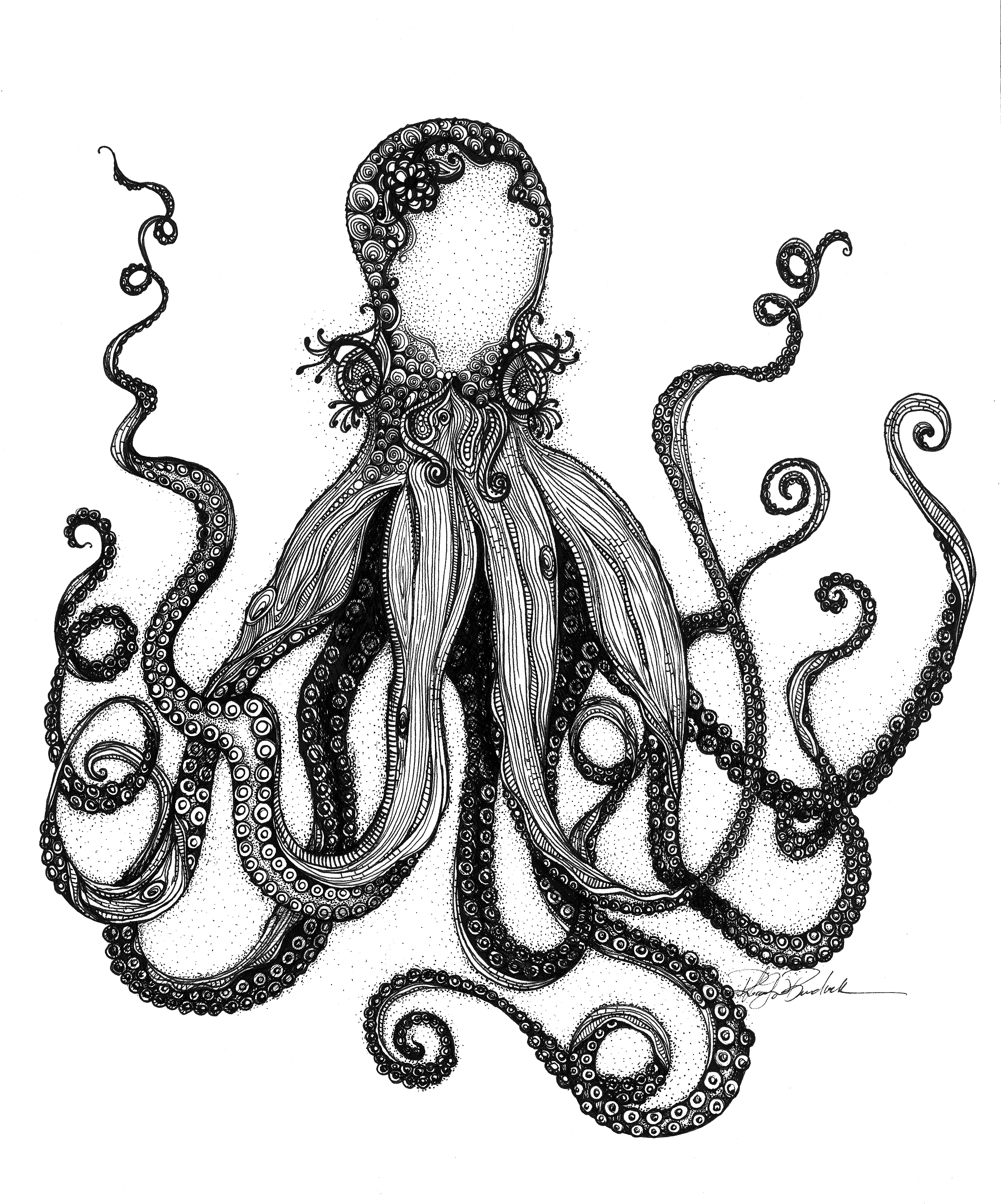 Octopus