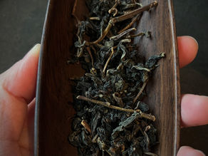 Rediscovering the 'black sheep' of oolong tea
