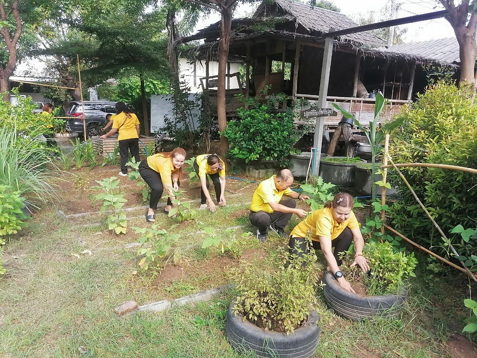 ดิน3