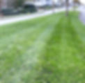 grass%252520again_edited_edited_edited.jpg