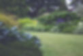 Garden_edited.jpg