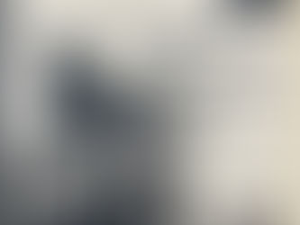 Mr.Crowe's Garden and Trouble in Suburbia