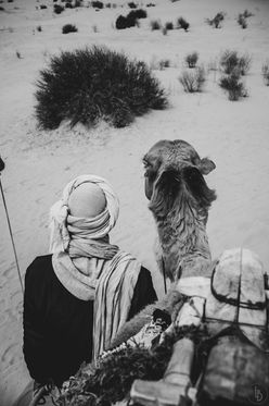 reportage photo - Djerba - 2025