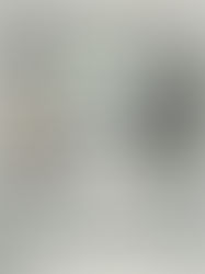 Student Wins Logo Design Contest for Local Food Support Network