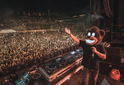 Bear Grillz @ Bass Canyon