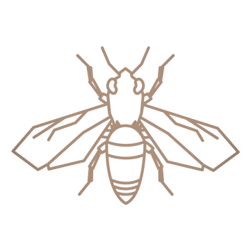Bee_edited_edited.png