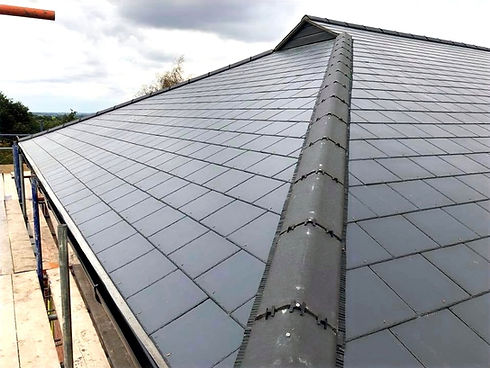 new roof_edited.jpg