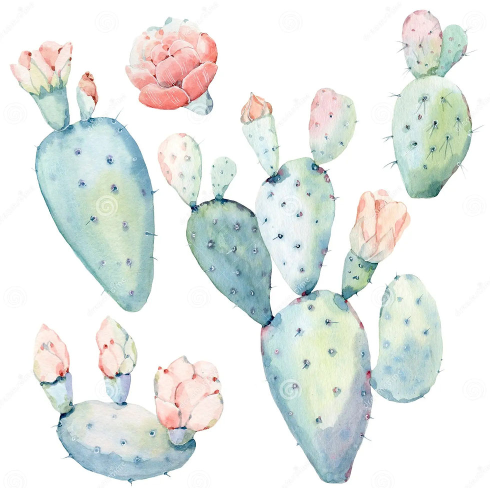 Soft watercolor still life painting of cactus pads with pink flowers, showing careful observation and color blending techniques often practiced in Adult Painting Classes and Art Classes for Adults.