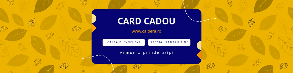Untitled-2-Card cadou banner 2.png