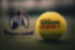 virginiaTennisBall.jpg