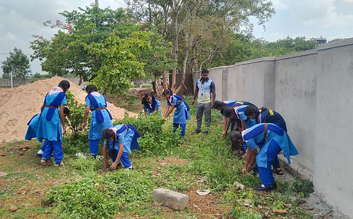 WhatsApp Image 2025-06-14 at 3.55.57 PM.jpeg