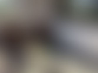 Fort Worth Water Gardens: A Tranquil Oasis in Fort Worth, Texas