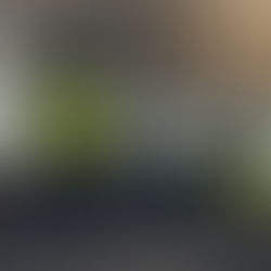 Topiary Park In Columbus, Ohio, Is A Must-See Attraction