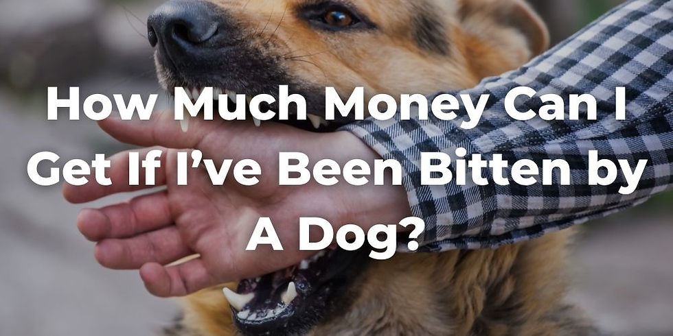 How Much Money Can I Get if I’ve Been Bitten by a Dog?