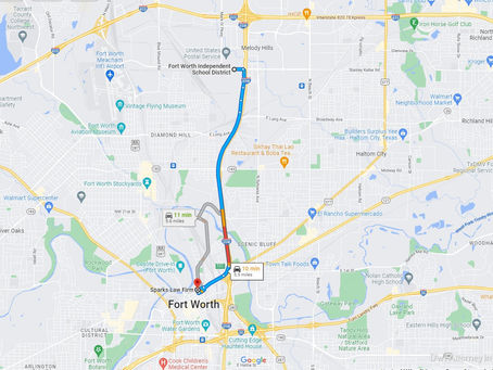 Bowman Springs Park, Texas: A Beautiful Hidden Gem