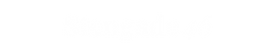 Stengade46 logo