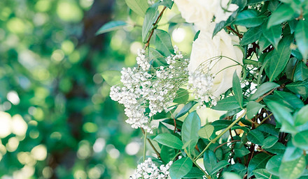 charlestonweddingphotographer322-1227 (1).jpg