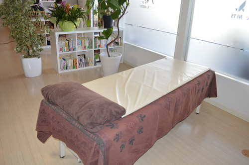 三井温熱 陰陽バランス調整マット 宝睡∞ (三つ折りマットとボイラーのセット) 陰陽バランス調整マット 宝睡∞ 三つ折マットセット – PeachLabo 三井