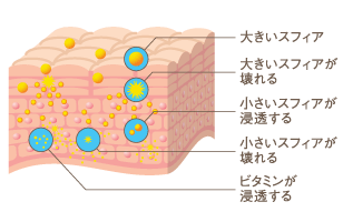 サムネイル： voige スキンローション（保湿化粧水）
