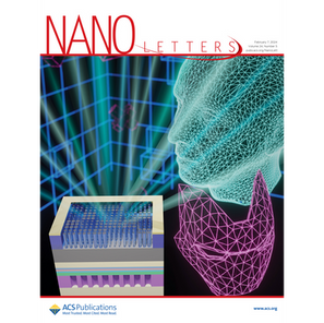 Spotlighted on the Cover of Nano Letters