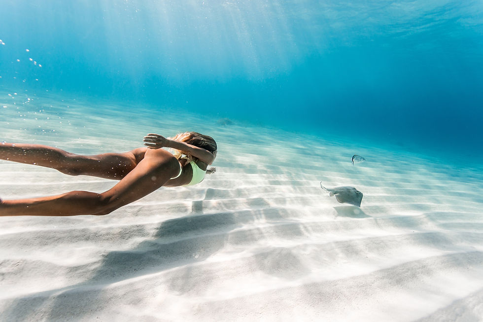 Thumbnail: Underwater Collection