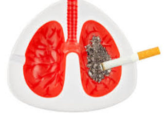 lungs.jpeg
