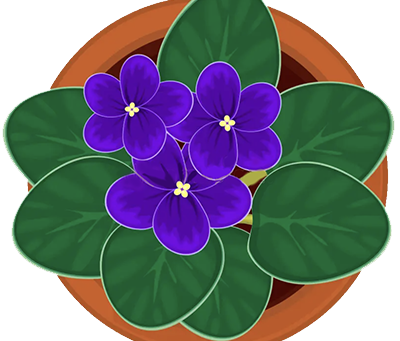 The Benefits of Caring for Plants