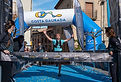 3903 PRADESEPICTRAILCOSTADAURADA 10112024_edited.jpg