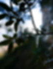 Copia de _josemiguelmunoze_DSY5344.jpg
