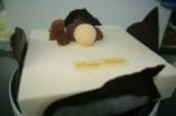 Chocomango (8 Ã 10 pers)