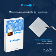 Evolution Osteobiol.