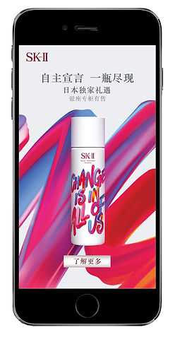 skii_phone.jpg