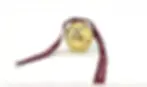 xwdxwxwx (1).webp
