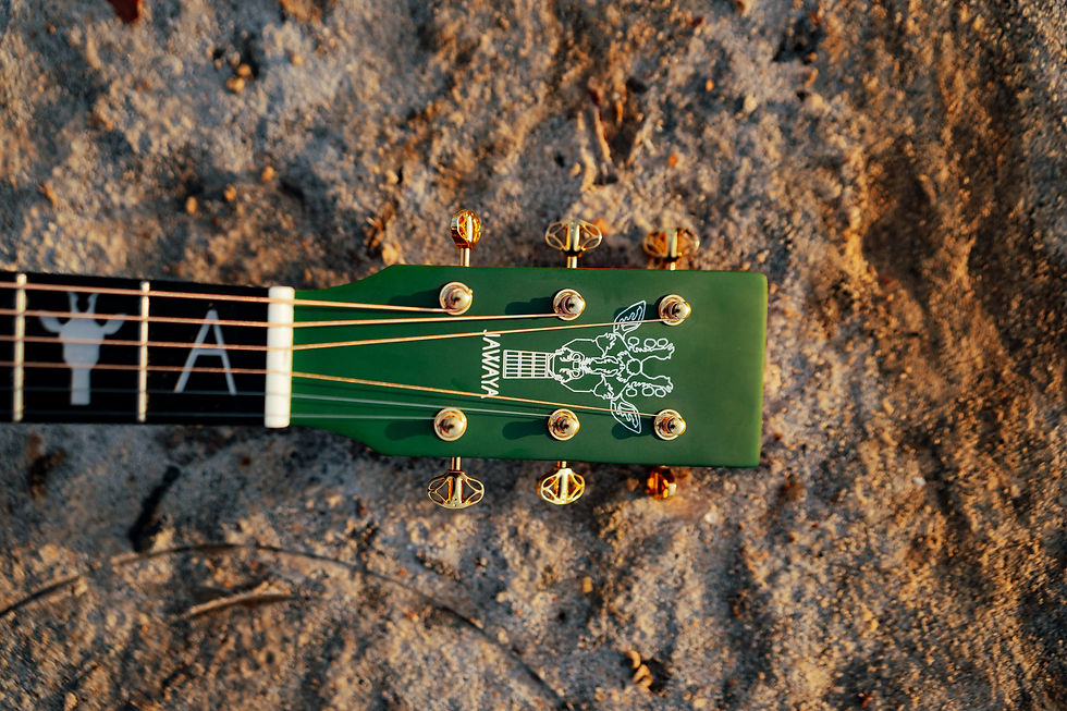 Thumbnail: SAYUN Semi-Acoustic w. Fishman Pickup
