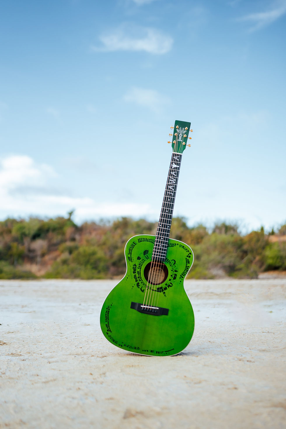 Thumbnail: SAYUN Semi-Acoustic w. Fishman Pickup