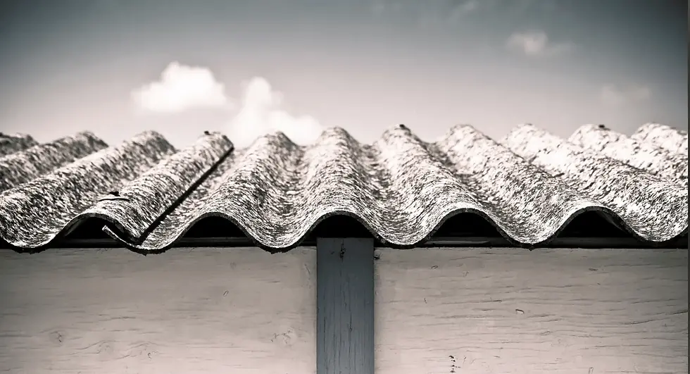 Professional-Asbestos-Removal-Services.webp