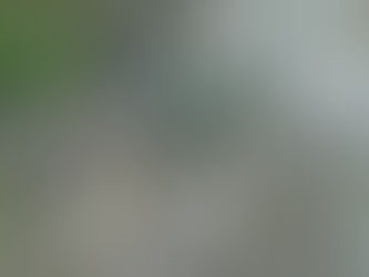 Banaue et Batad : trek dans les plus belles rizières en terrasses des Philippines