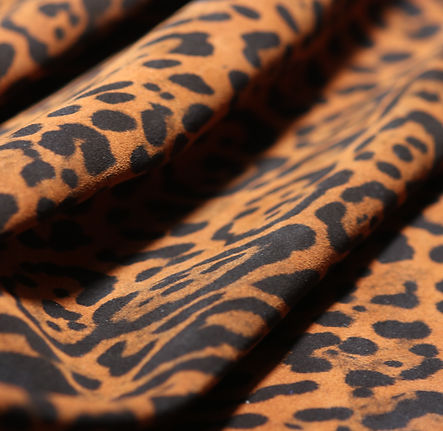 PLOTTER ANIMALIER.jpg