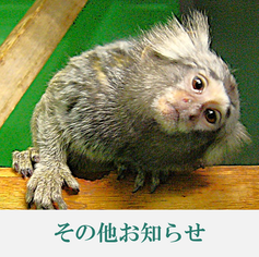 当センターがJSPS研究拠点形成事業に採択されました